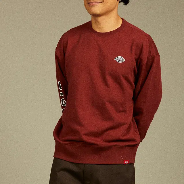 Dickies Logo