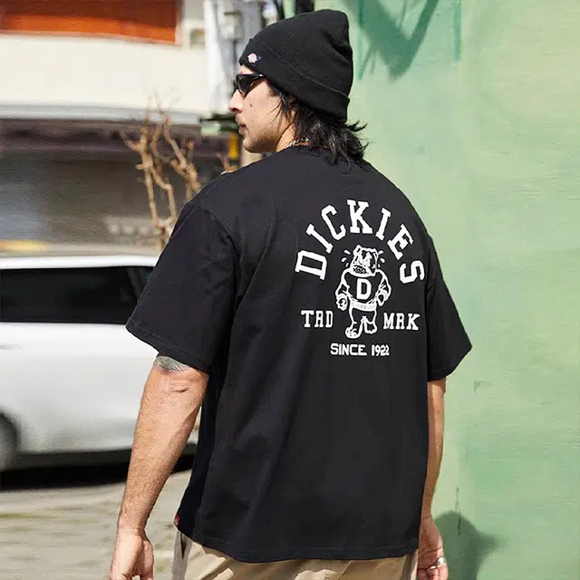 Dickies s logo T DK0A87MK