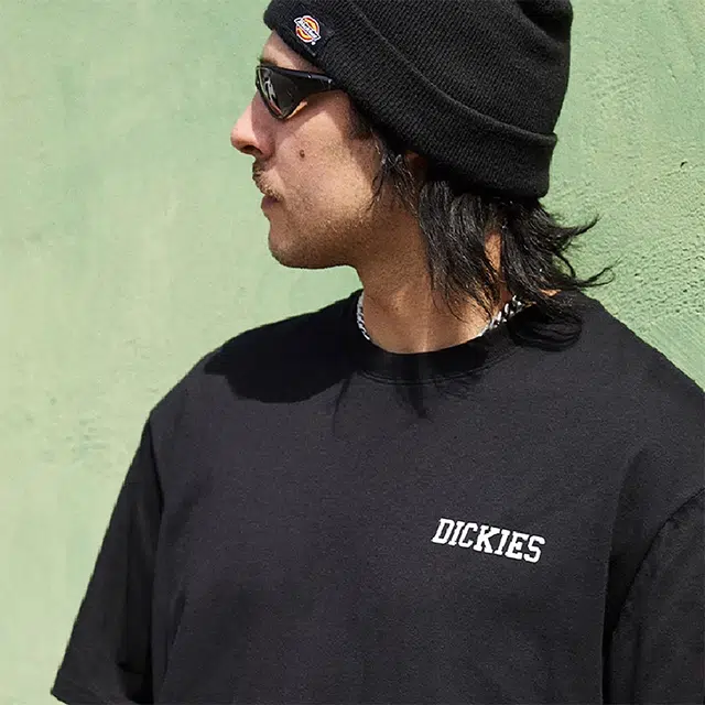 Dickies s logo T DK0A87MK