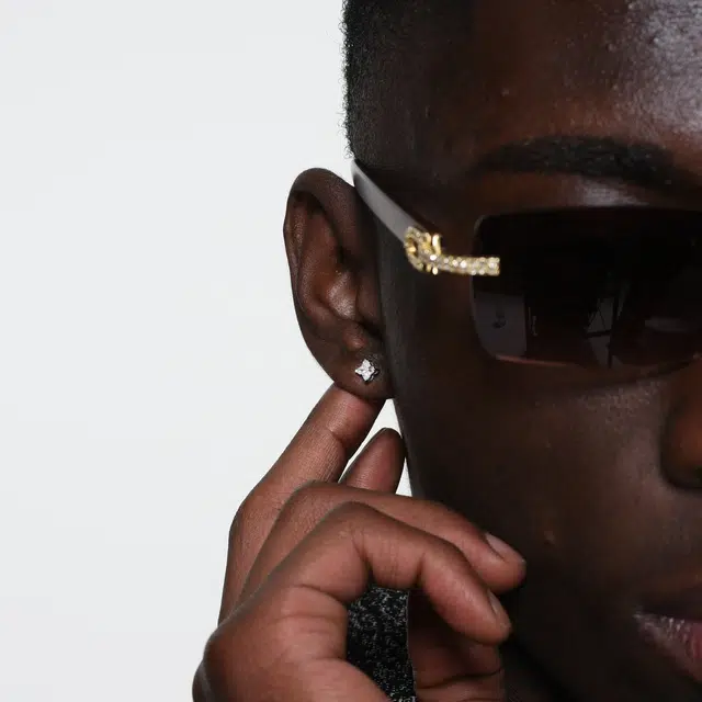 ICEGANG S295