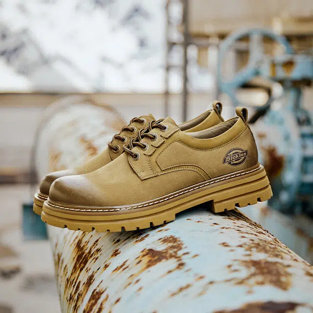 Dickies