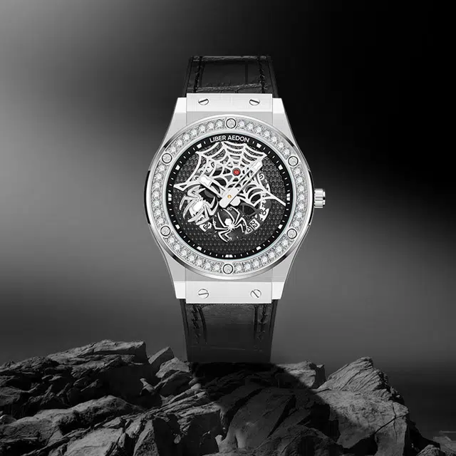 LIBER AEDON Quartz Leather Strap Watch Black Dial