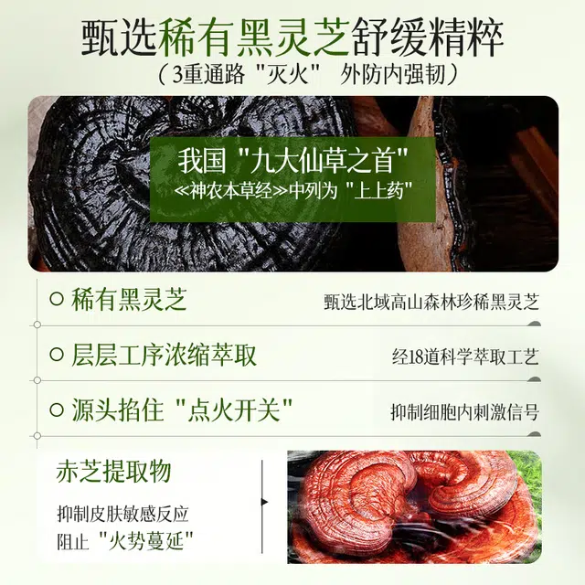 透真 灵芝菌菇精华爽肤水 保湿修护控油提亮收缩毛孔滋润祛粉刺维稳舒缓补水 去黄去闭口油皮干皮清爽型敏感肌减退泛红精粹水