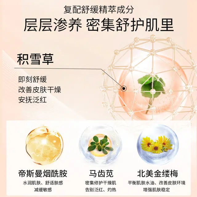 透真  面膜组合套装 海葡萄玻色因水油双抗山茶花补水保湿修护抗皱淡纹