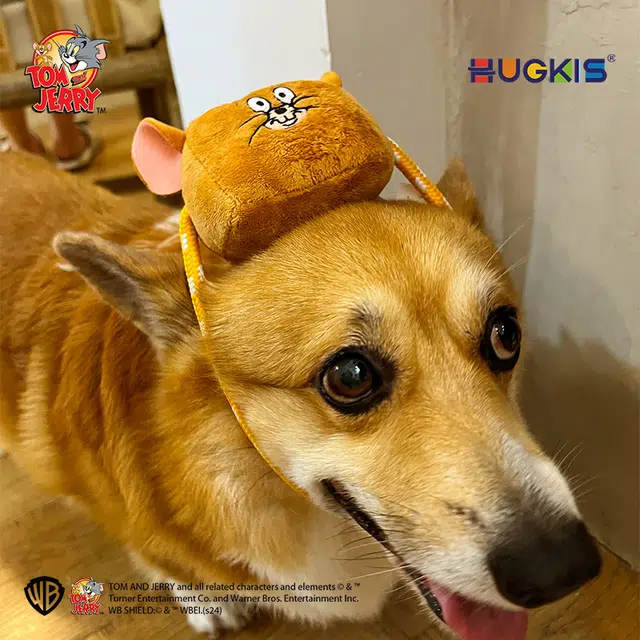 HUGKIS 6