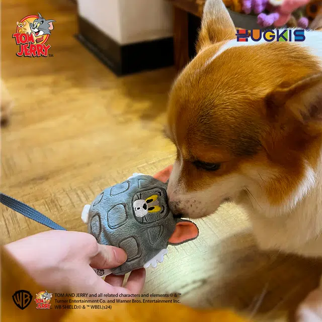 HUGKIS 6