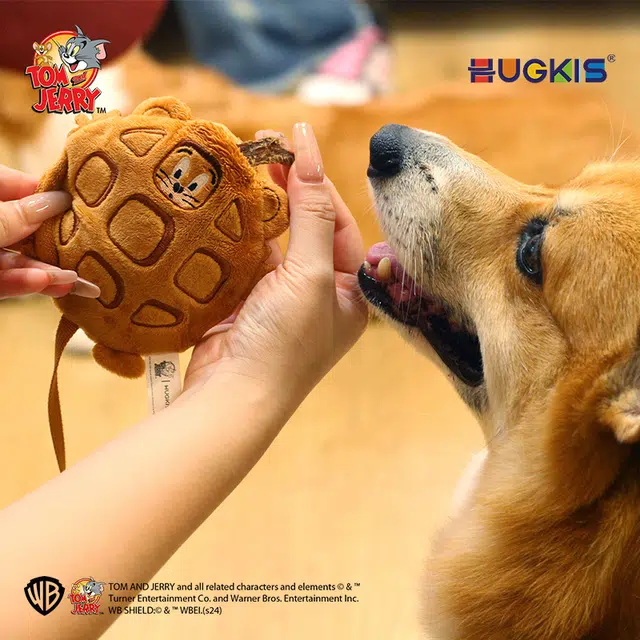 HUGKIS 6