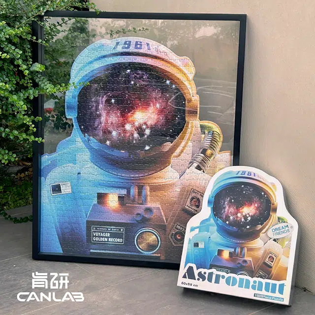 DREAM FRIENDS ar 1000pcs