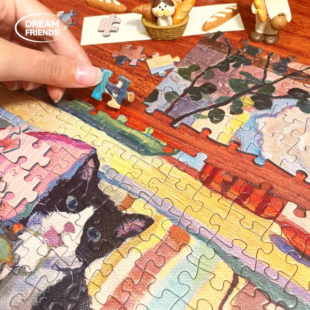 DREAM FRIENDS 1000pcs