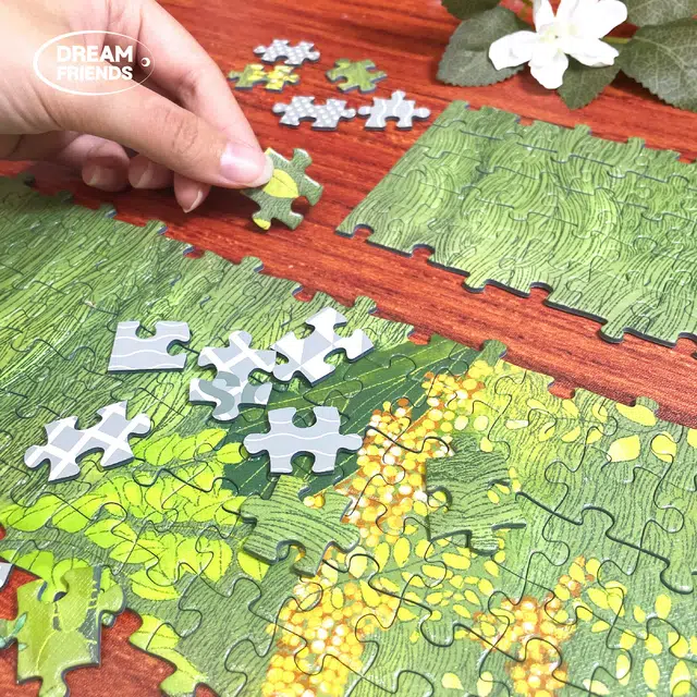 DREAM FRIENDS 1000pcs