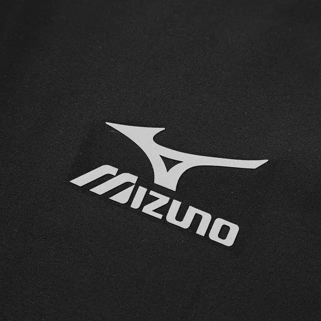 Mizuno T