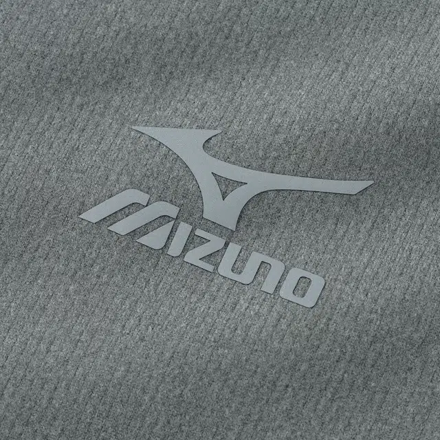 Mizuno T