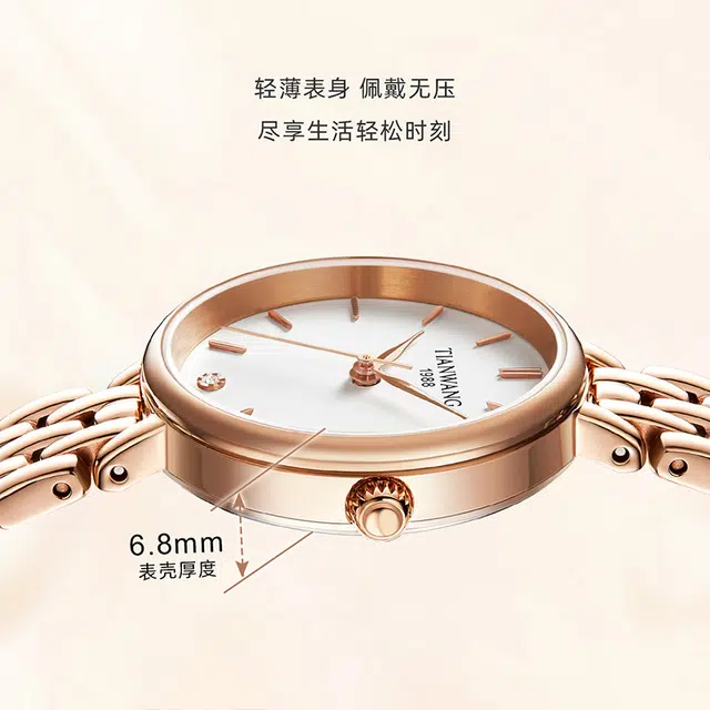 TIANWANG 31348