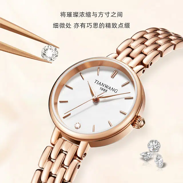 TIANWANG 31348