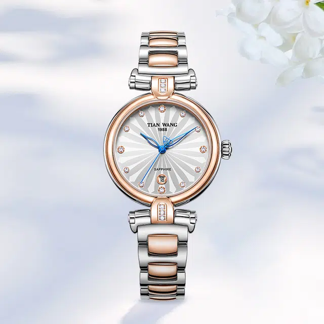 TIANWANG SHINE LS3981