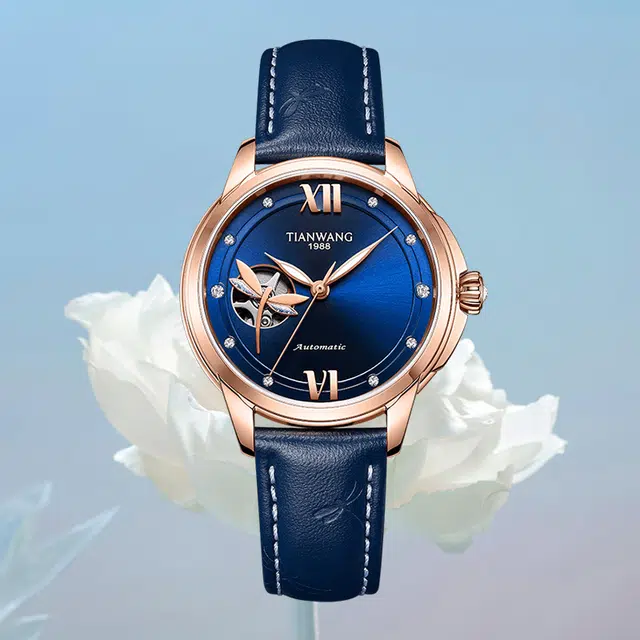 TIANWANG 51220