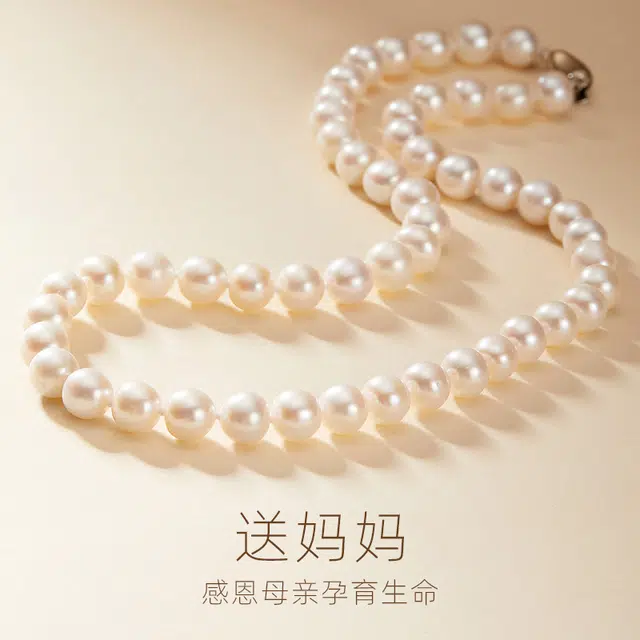 TIANWANG 31365