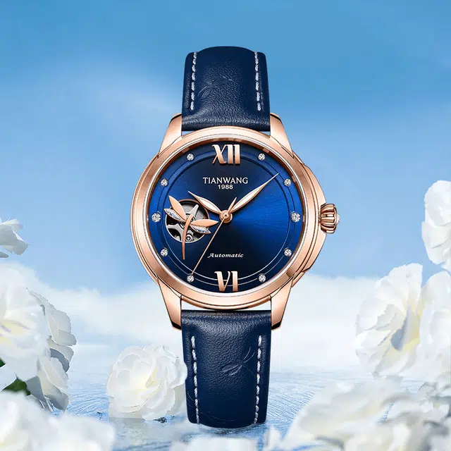 TIANWANG 51220