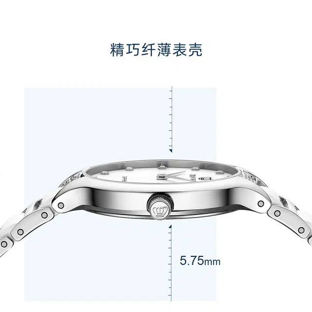 TIANWANG MS LS31009