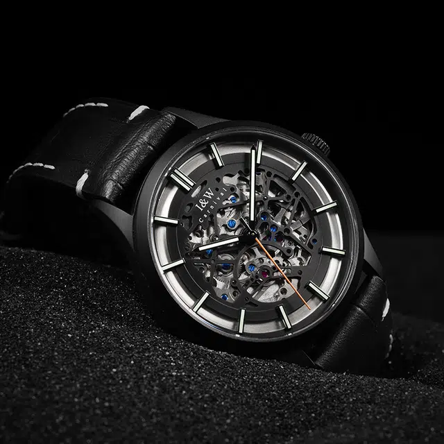 IW CARNIVAL HWGUOJI DW8588G