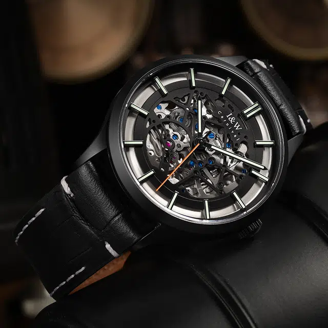 IW CARNIVAL HWGUOJI DW8588G