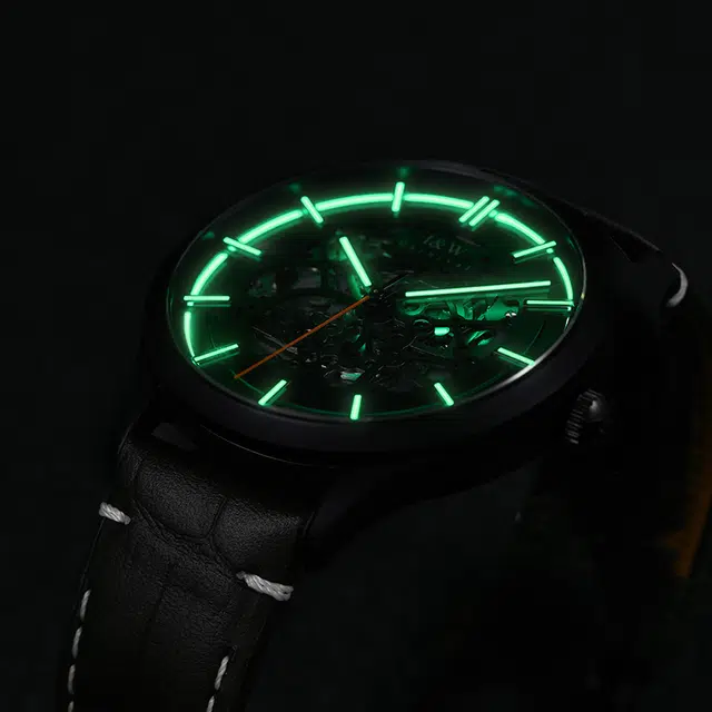 IW CARNIVAL HWGUOJI DW8588G