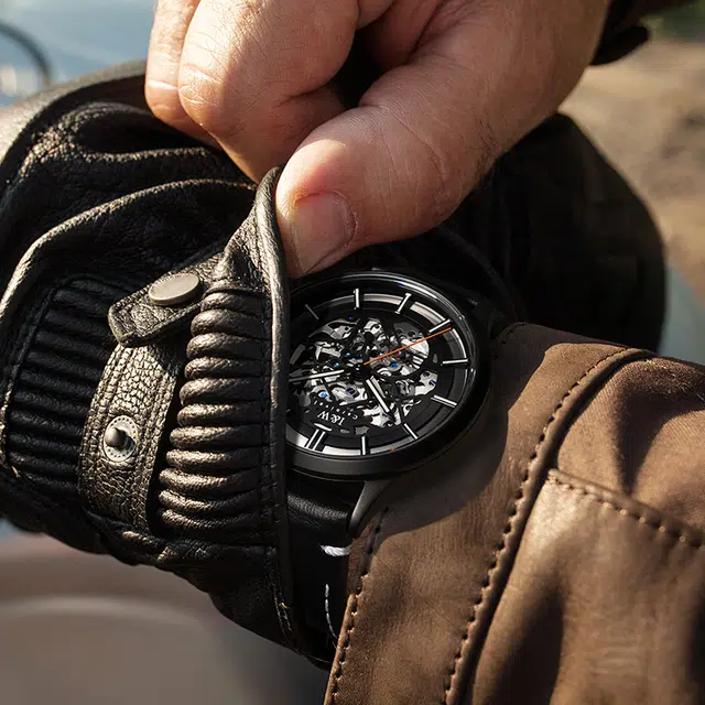 IW CARNIVAL HWGUOJI DW8588G