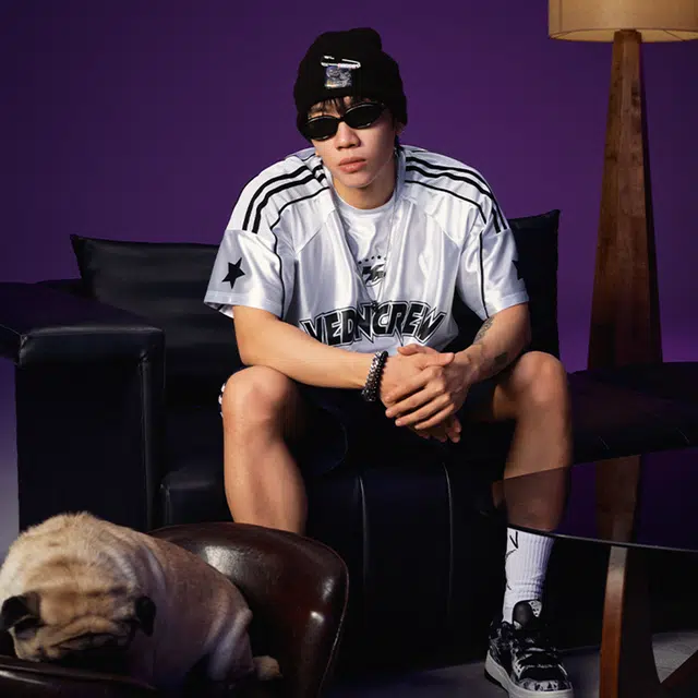 VEIDOORN T