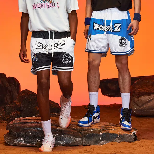 VEIDOORN x Z 2.0