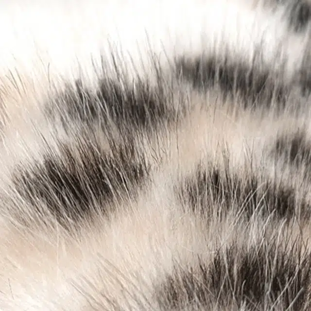 JKEM