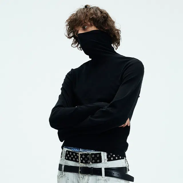 WHISTLEHUNTER T