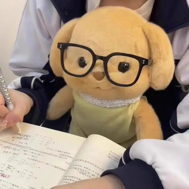 25cm35cm