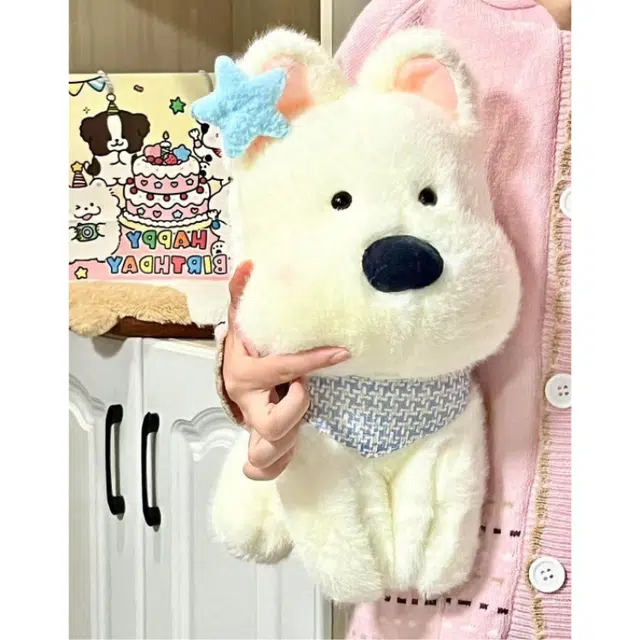 25cm