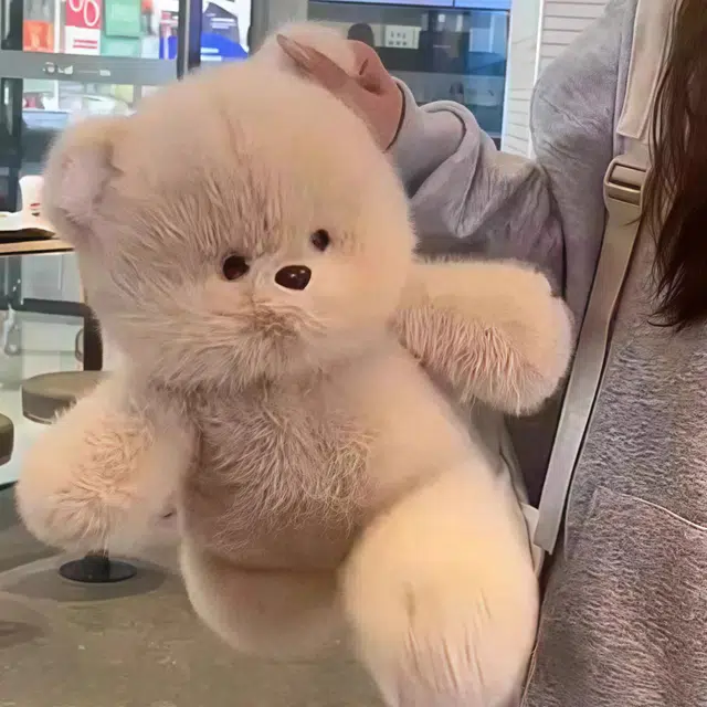 45cm