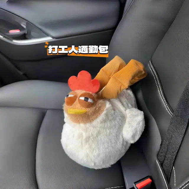 19cm