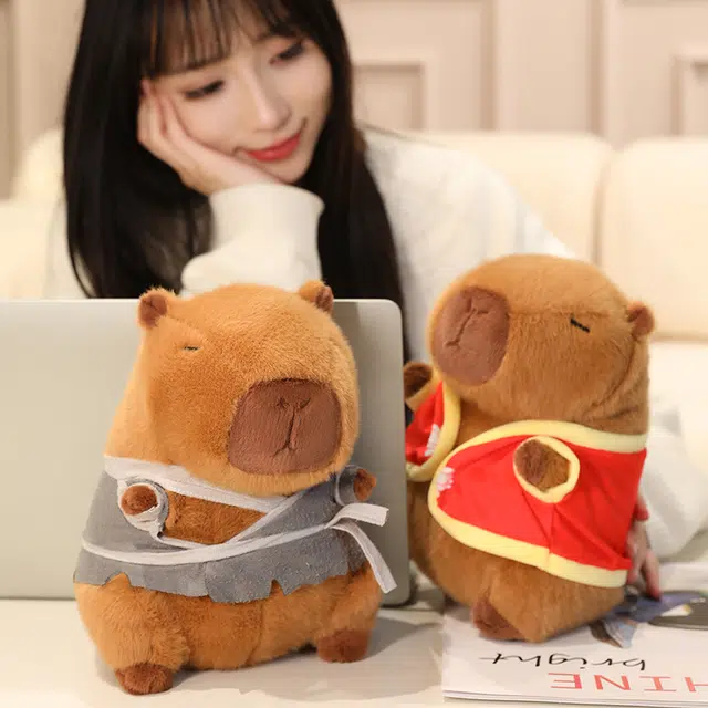 23cm