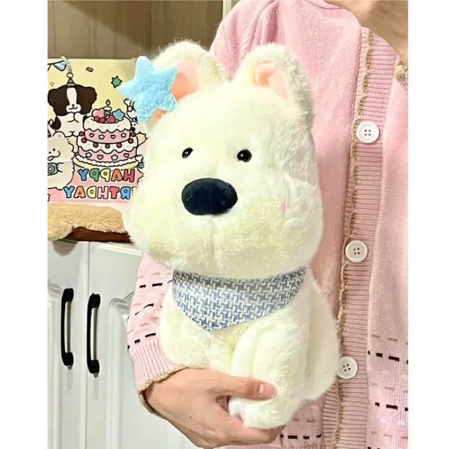 25cm
