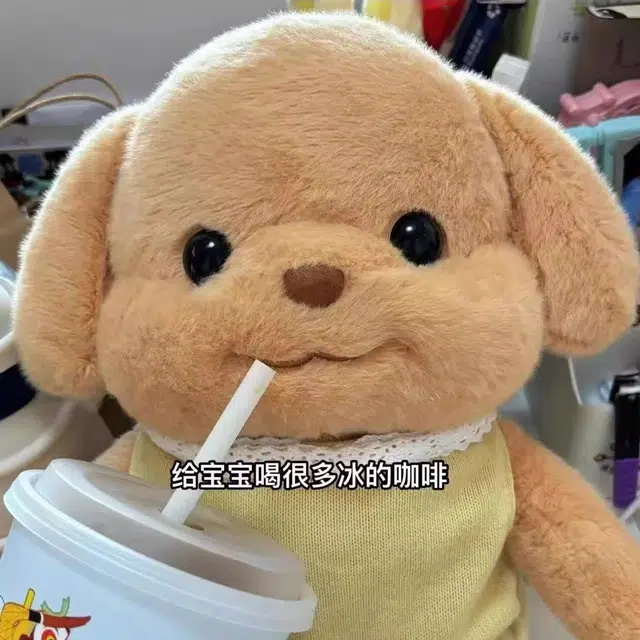 25cm35cm