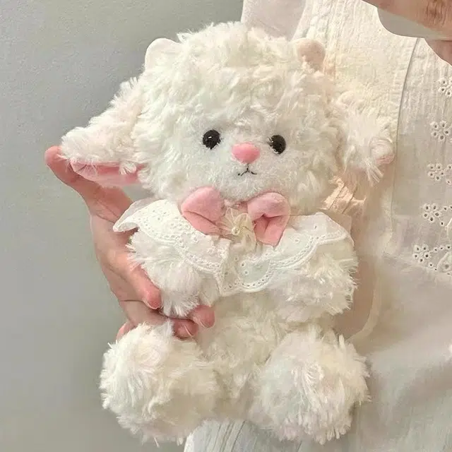 22cm32cm