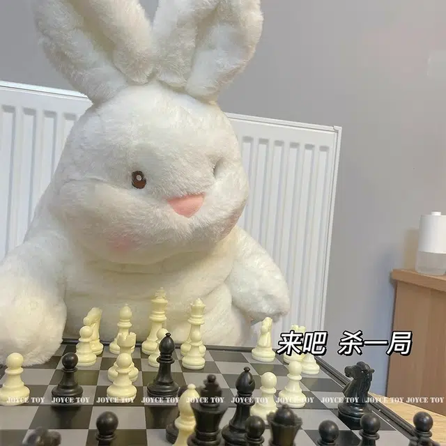 45cm65cm
