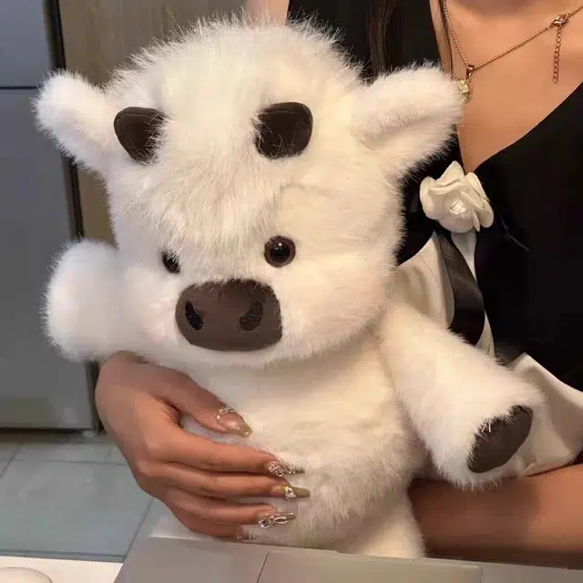 45cm60cm