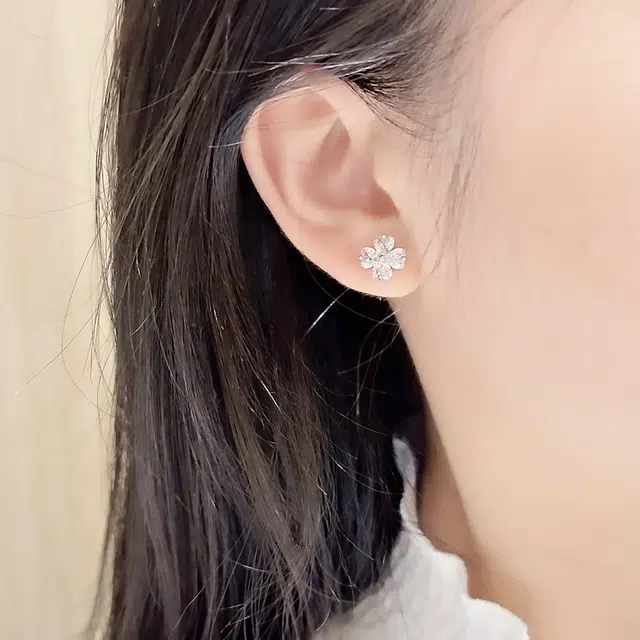 ins S925