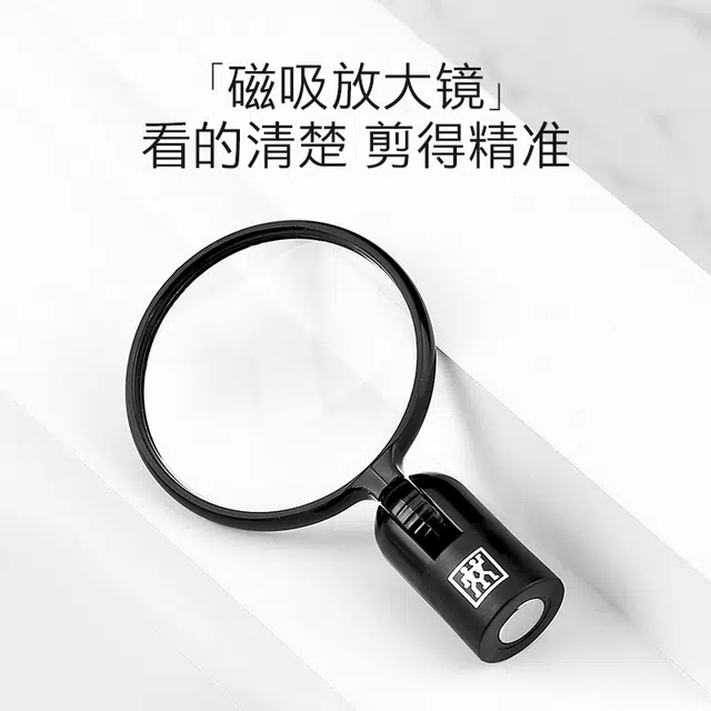 Zwilling