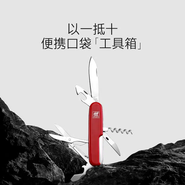 Zwilling