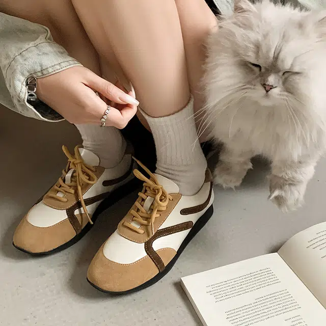 Yeezyy Reezy Yeezyy Reezy