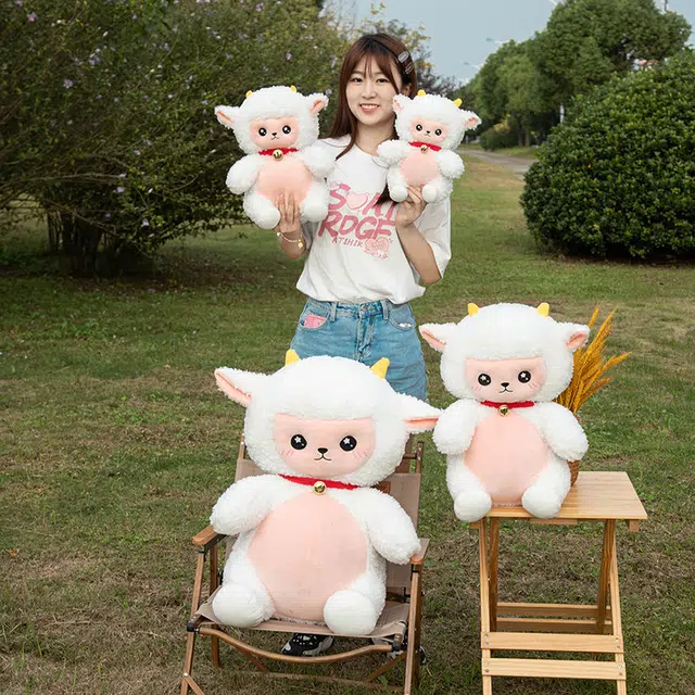 25cm35cm50cm