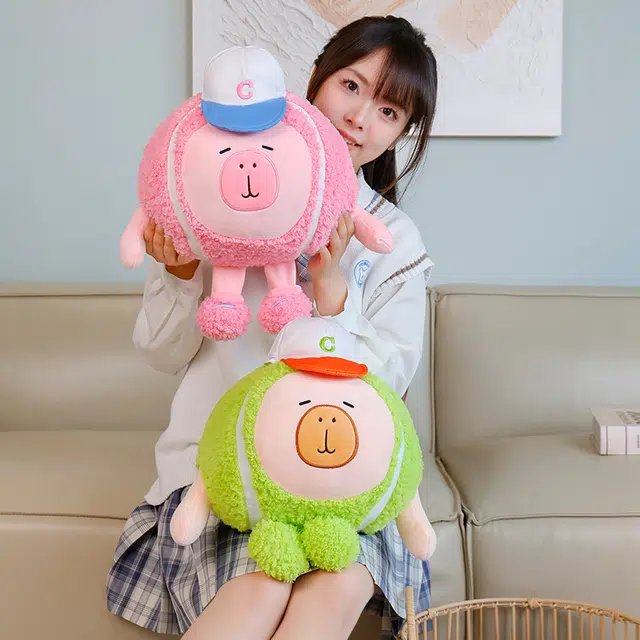 30cm40cm