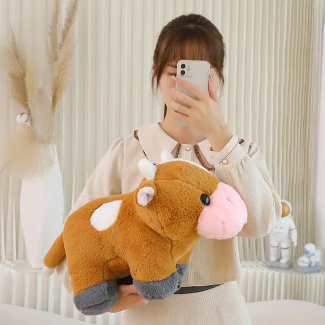 20cm27cm