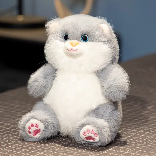 20cm