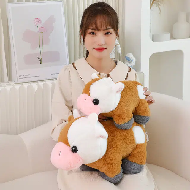 20cm27cm